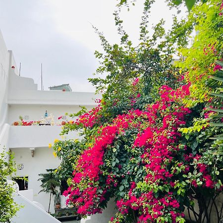 Mosaics Guest House Джайпур Екстериор снимка
