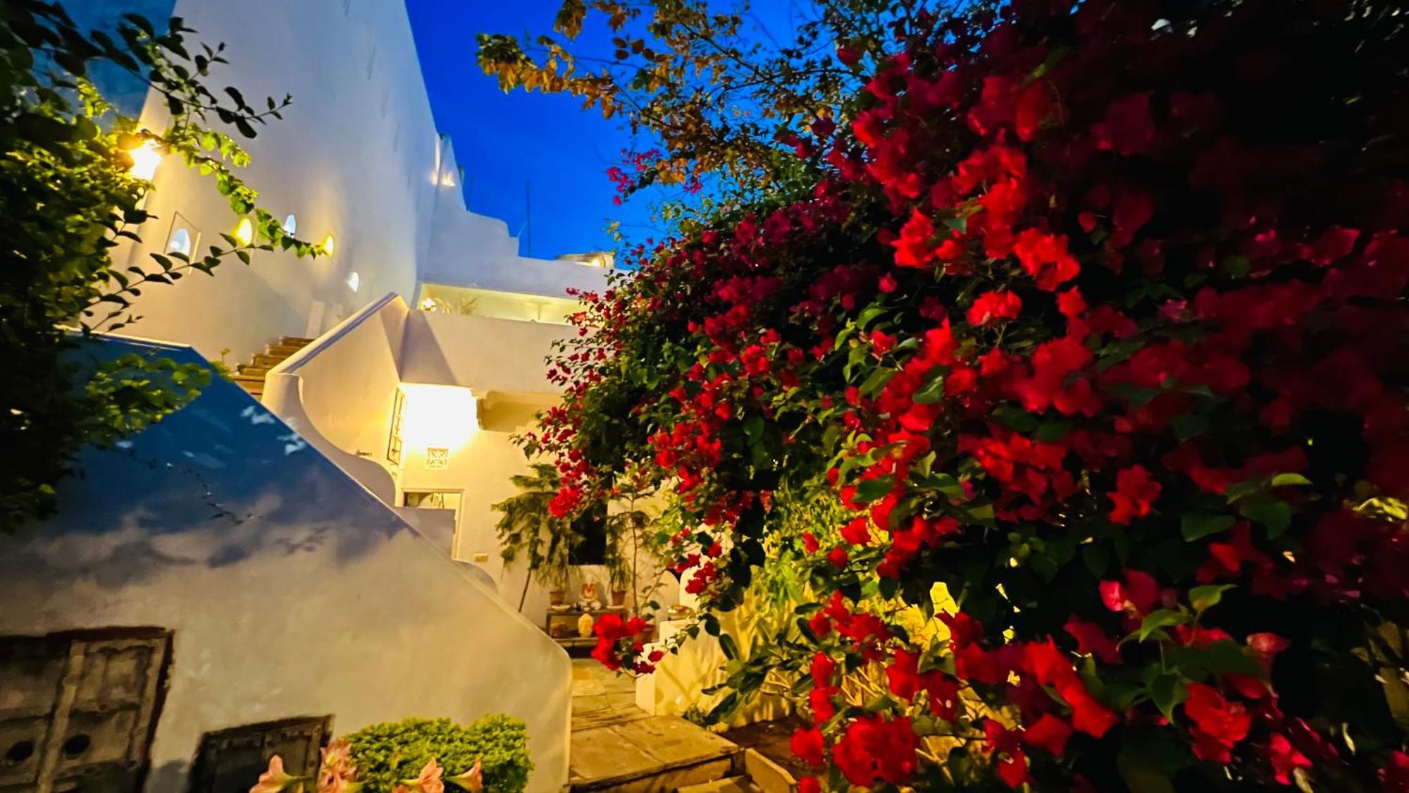 Mosaics Guest House Джайпур Екстериор снимка